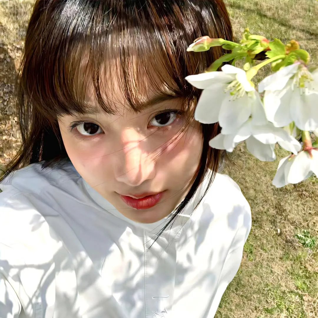 漫步夏威夷